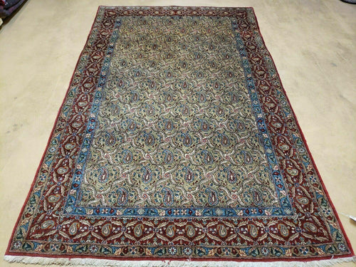 4' X 7' Handmade Turkish Wool Rug Paisley Hand Knotted Flowers One Of A Kind - Nuvé