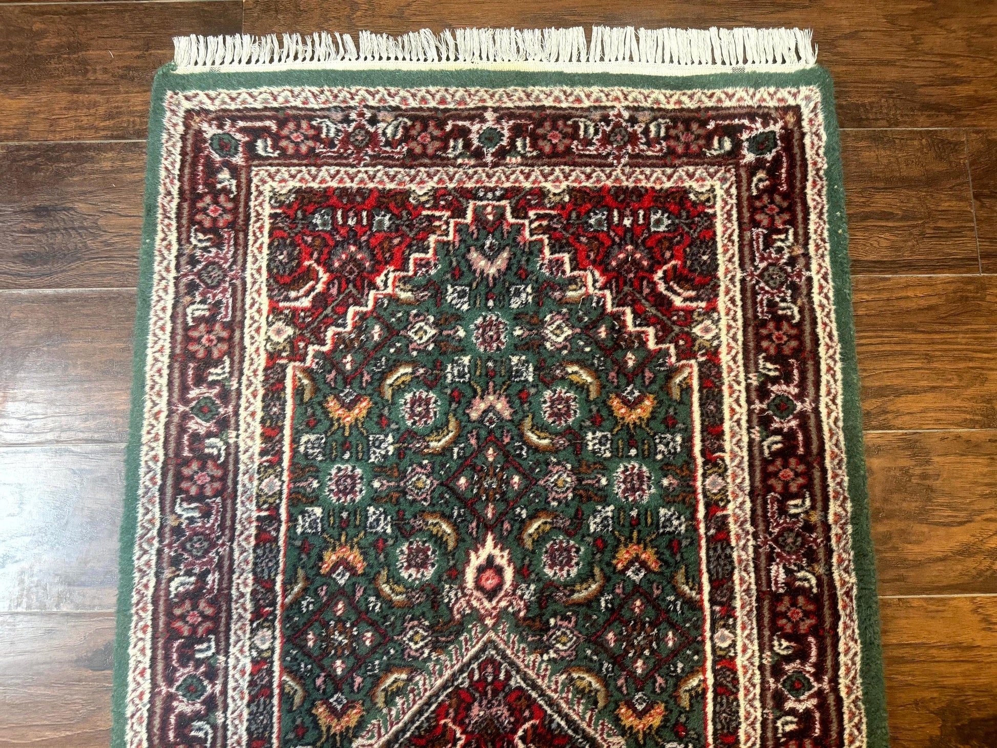 Green Indo Persian Bidjar Runner Rug 3x10, Green and Red - Nuvé