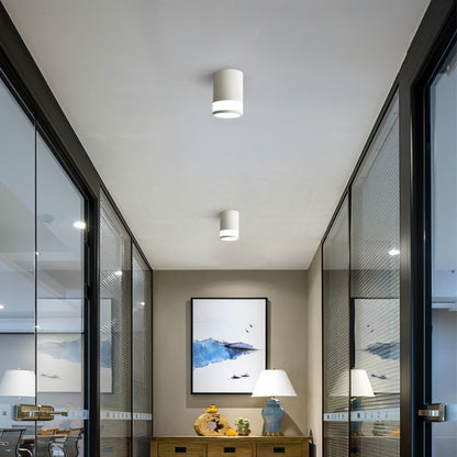 Tzira Ceiling Light - Nuvé