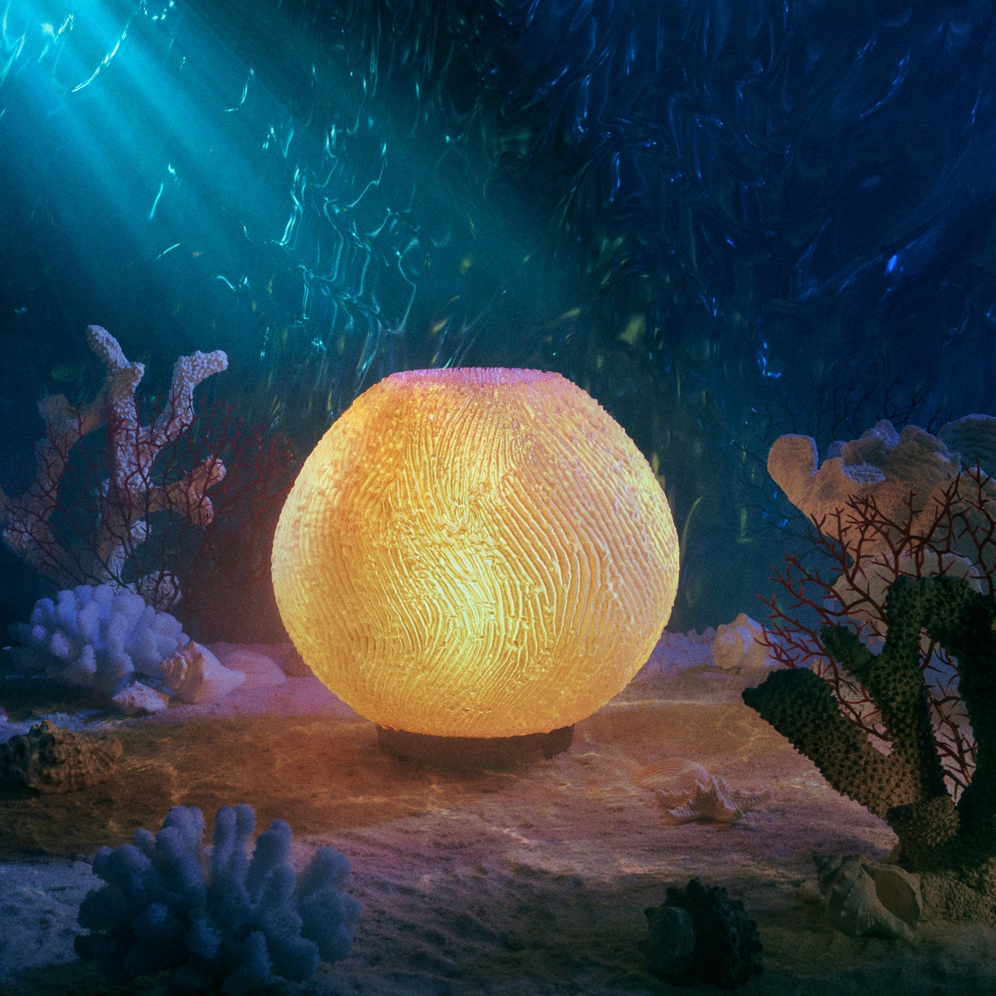 Coral Lamp - Nuvé