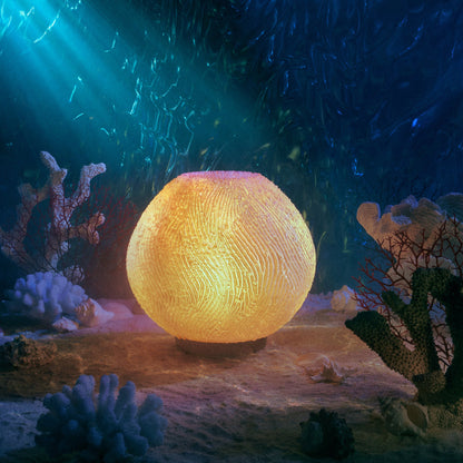 Coral Lamp - Nuvé