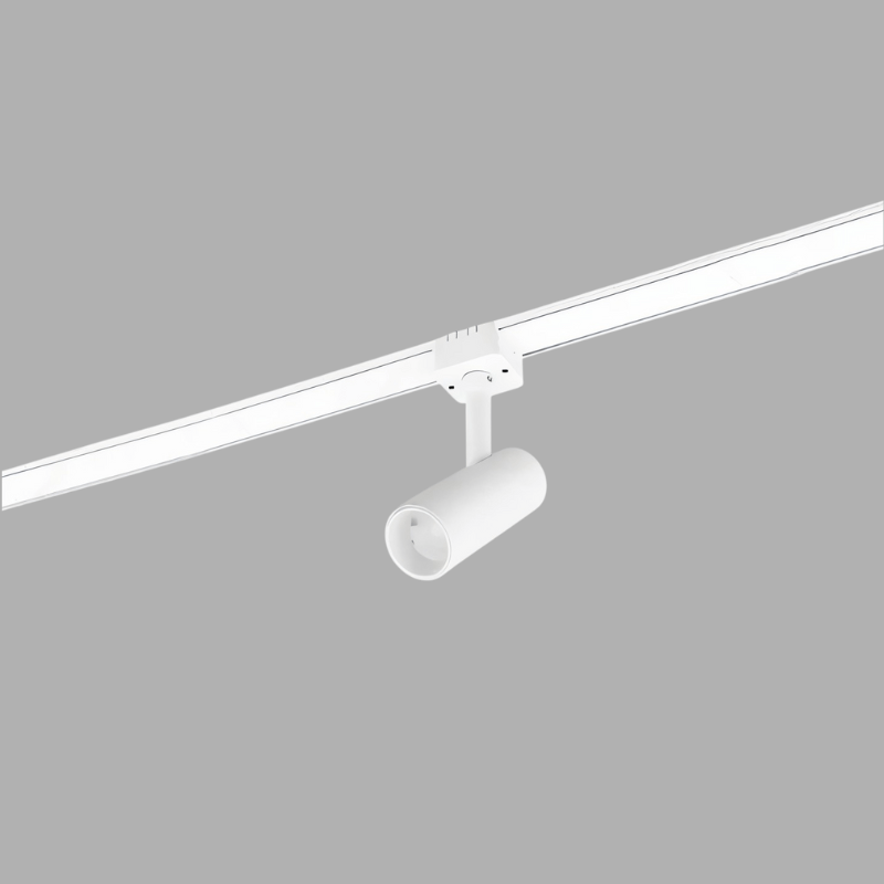 Custom Dawn Track Light System by Residence Supply showing adjustable track lights and mounting hardware for customizable lighting setups.
