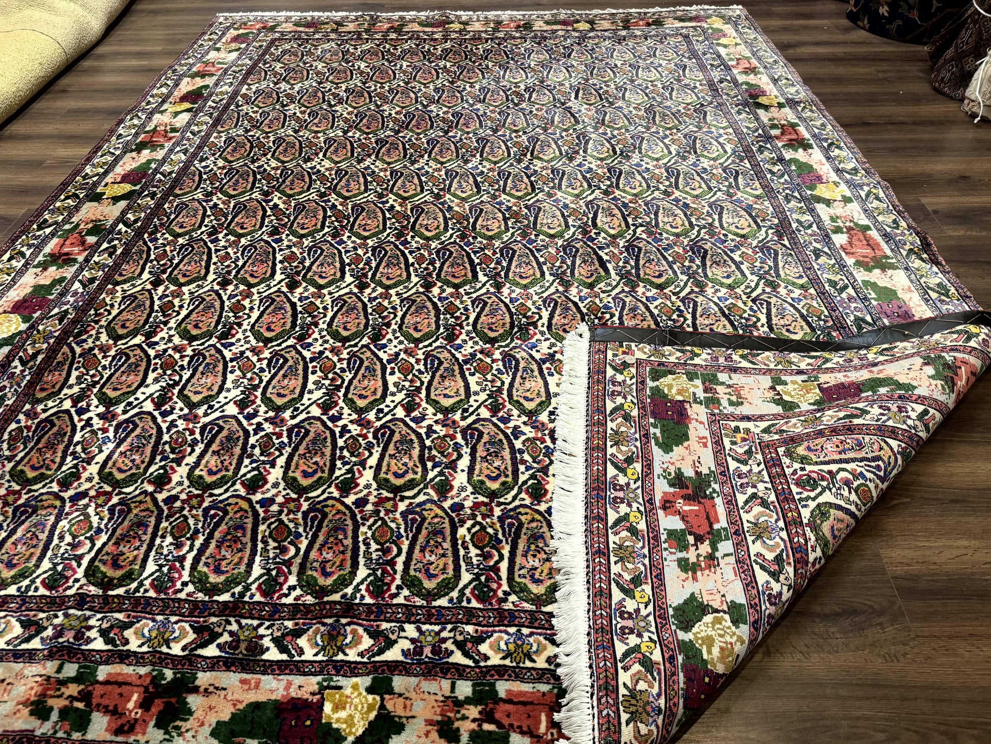 Persian Rug 8x11, Boteh Design, Repeated Paisleys, Persian Kurdish Rug, Bird Pictorials, Rare Antique Persian Kurdish Sannadaji Carpet - Nuvé