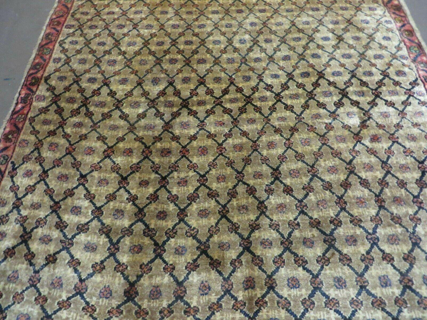 4' X 6' Handmade Indian Allover Wool Rug Camel Hair Color #119 - Nuvé