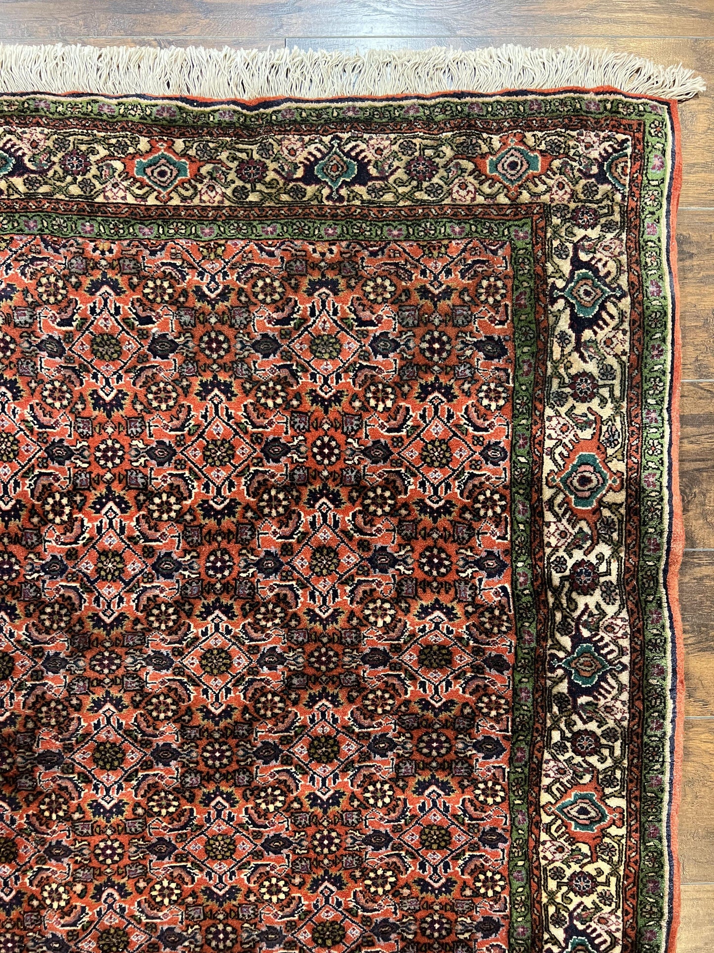 Antique Persian Bijar Rug 5x7, Allover Pattern, Hand Knotted Vintage Wool Tribal Oriental Carpet, Bidjar Rug, Red and Cream 5 x 7 ft, Handmade Rug - Nuvé