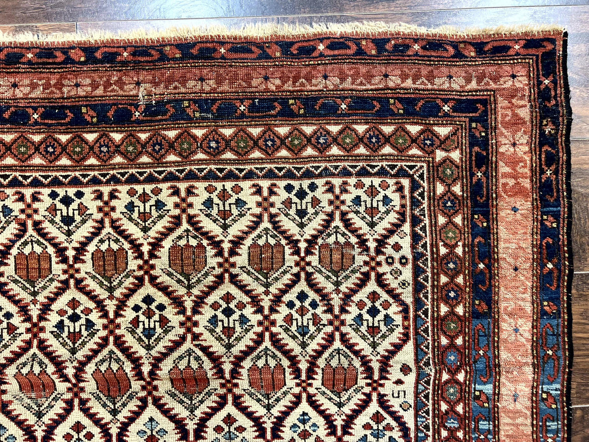 Antique Caucasian Rug 4x6, Hand Knotted Wool Carpet, Shirvan Rug