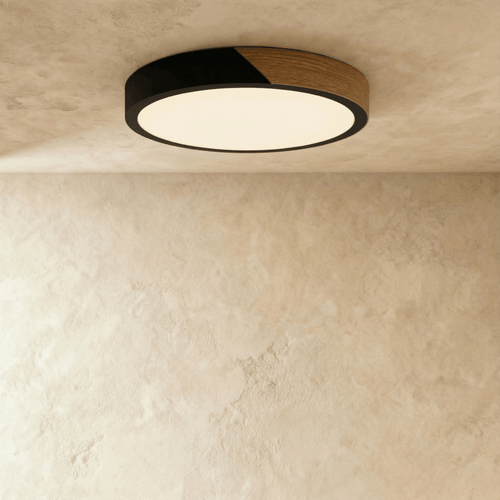 Delphi ceiling light by Residence Supply featuring a modern, round design with a frosted glass cover and brushed metal finish.
