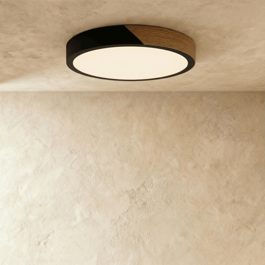 Delphi ceiling light by Residence Supply featuring a modern, round design with a frosted glass cover and brushed metal finish.