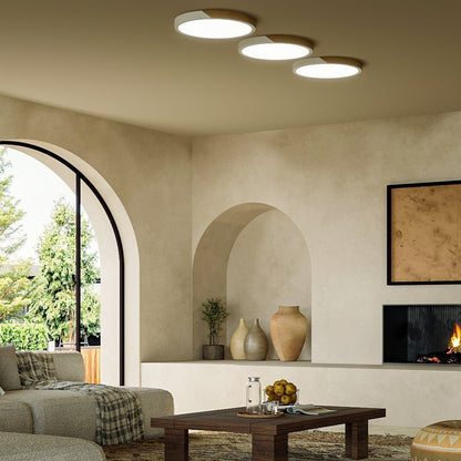 Delphi ceiling light by Residence Supply featuring a modern design with a sleek metal frame and glass shade.