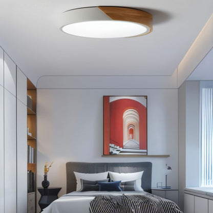 Delphi ceiling light by Residence Supply featuring a sleek, modern design with a frosted glass shade and brushed metal finish.