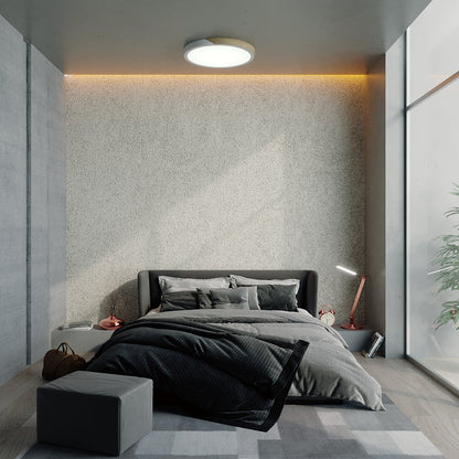 Delphi ceiling light by Residence Supply with a modern design and frosted glass shade, mounted on a ceiling.
