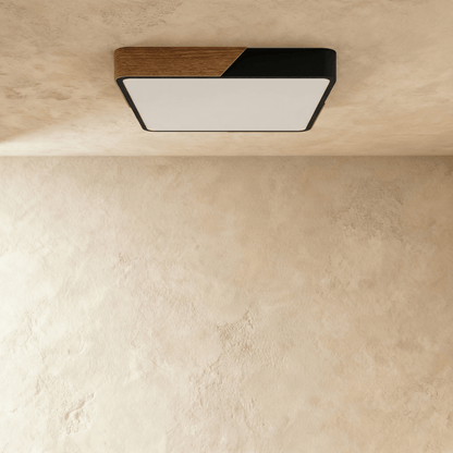 Delphi ceiling light from Residence Supply with a sleek modern design and frosted glass shade for ambient lighting.