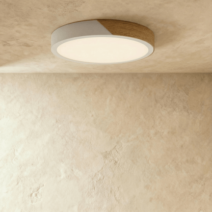 Delphi ceiling light from Residence Supply with a sleek modern design and frosted glass shade.