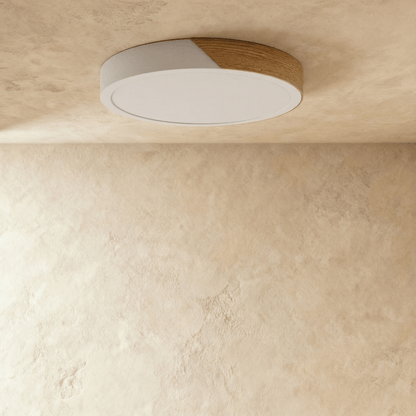 Delphi ceiling light fixture by Residence Supply with a modern design and frosted glass shade for indoor lighting.