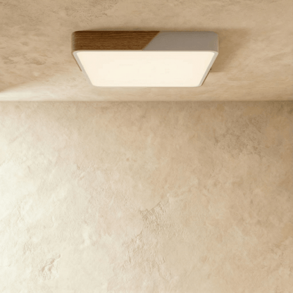 Delphi ceiling light fixture by Residence Supply with a modern design and frosted glass shade for ambient lighting.