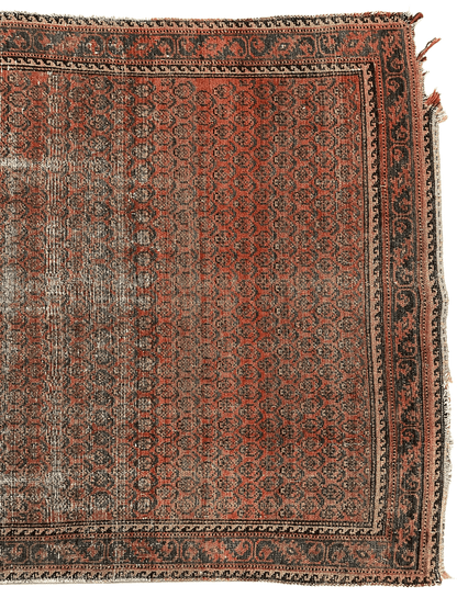 Distressed Persian Paisley Rug 3’8” x 5’2” - Nuvé