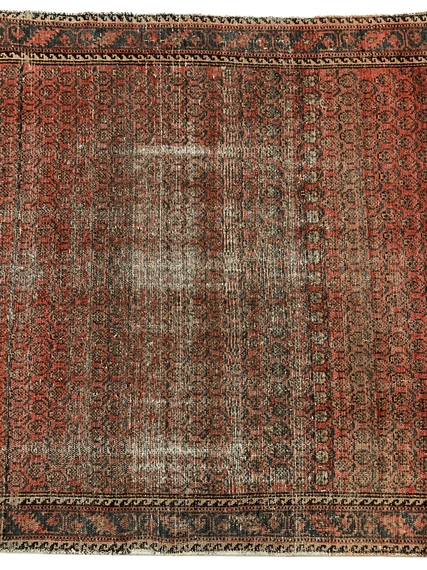 Distressed Persian Paisley Rug 3’8” x 5’2” - Nuvé