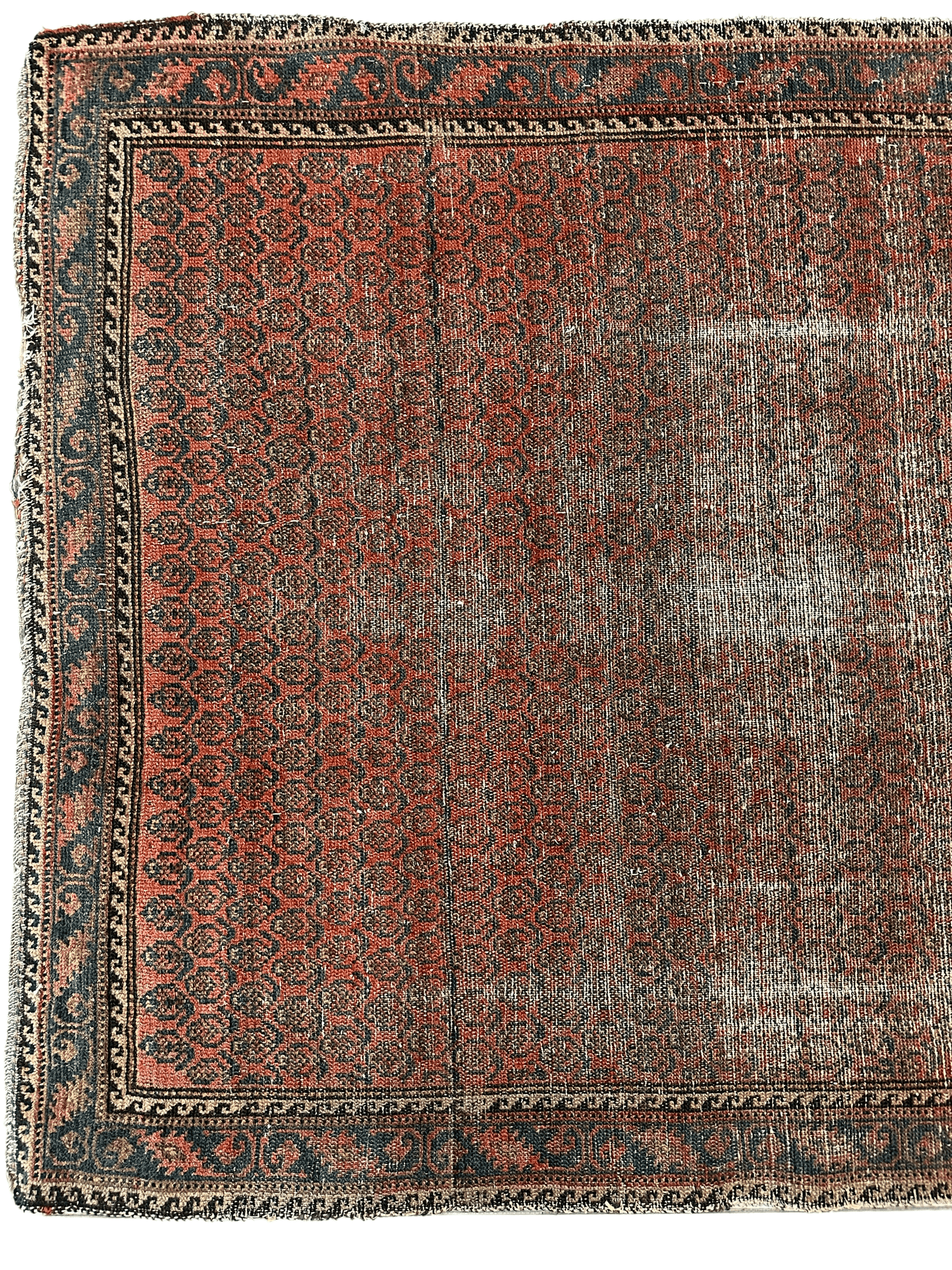 Distressed Persian Paisley Rug 3’8” x 5’2” - Nuvé