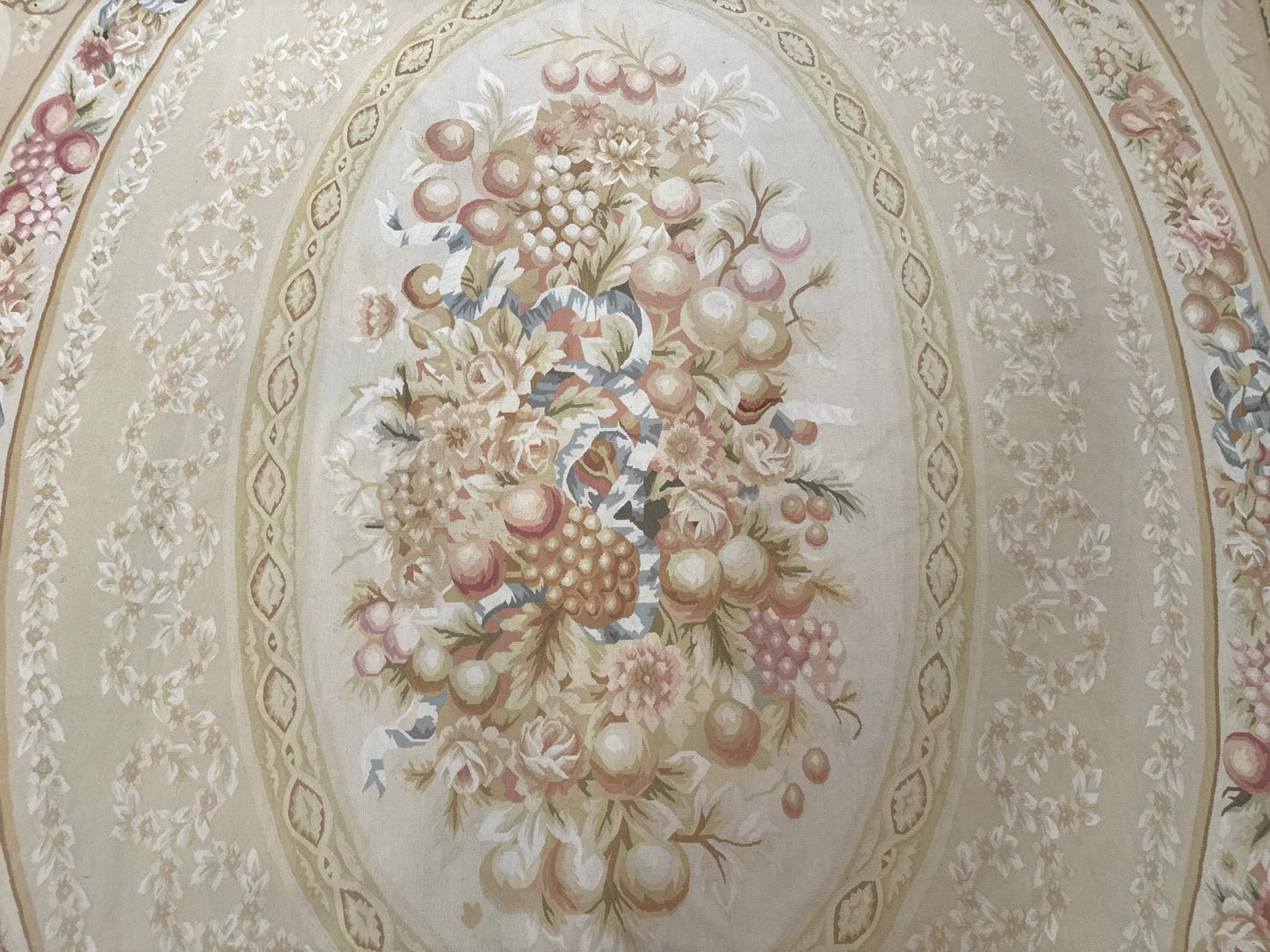 Aubusson Rug 9x12, French European Design, Floral, Elegant - Nuvé