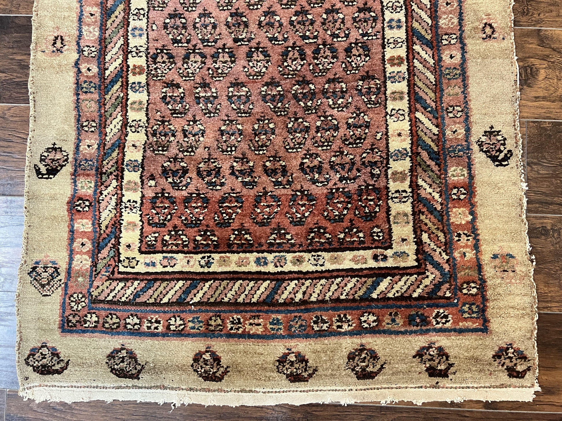 Antique Persian Sarab Runner Rug 3x11, Wool Camel Hair, Tribal Carpet for Hallway 3 x 11, Antique 1920s Rug, Handmade - Nuvé