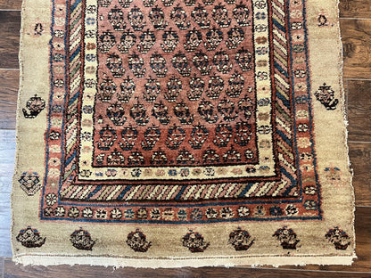 Antique Persian Sarab Runner Rug 3x11, Wool Camel Hair, Tribal Carpet for Hallway 3 x 11, Antique 1920s Rug, Handmade - Nuvé
