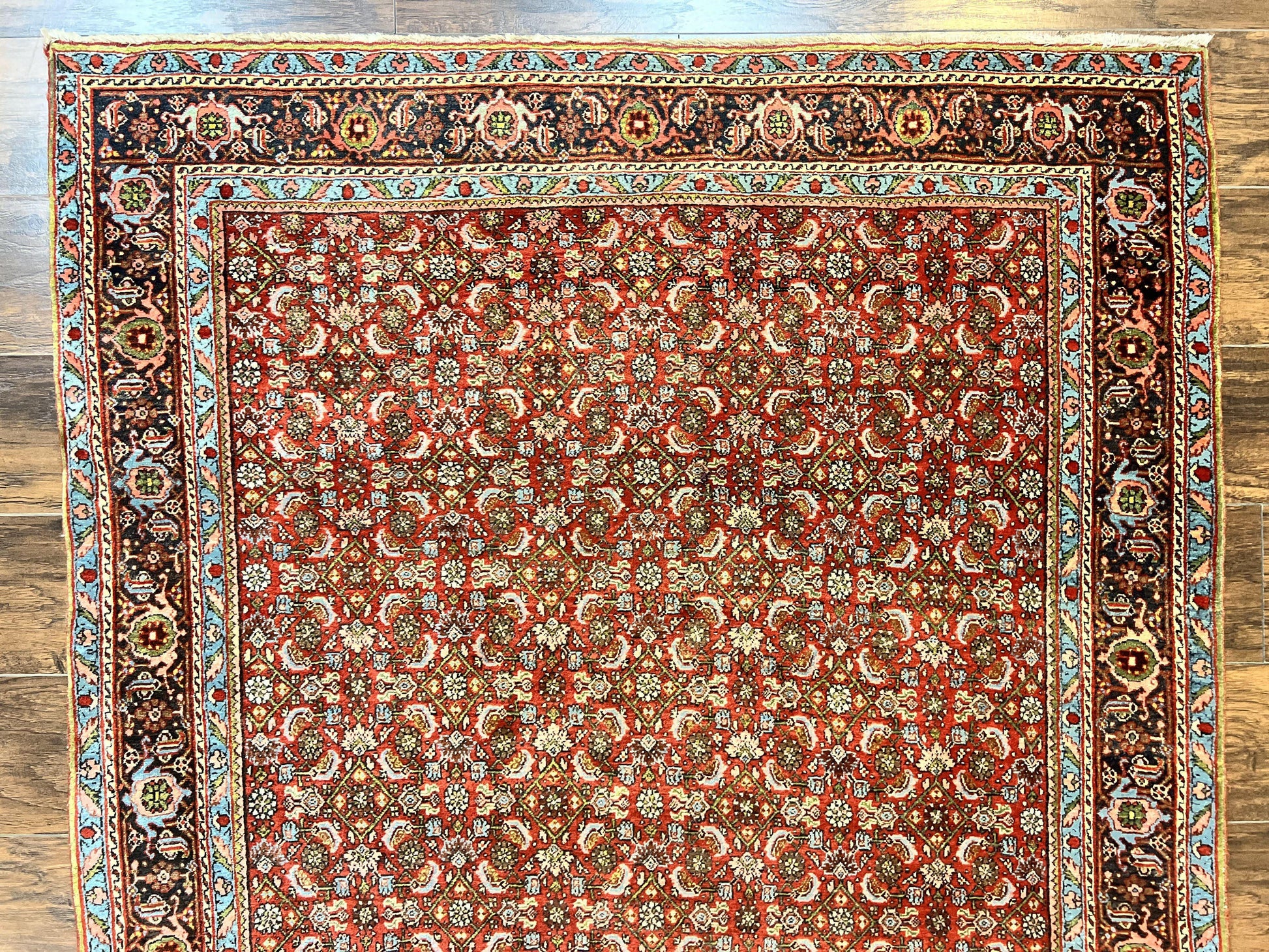 Antique Persian Bidjar Rug 5x7, Repeated Allover Herati Pattern, Red, Handmade Wool Carpet - Nuvé