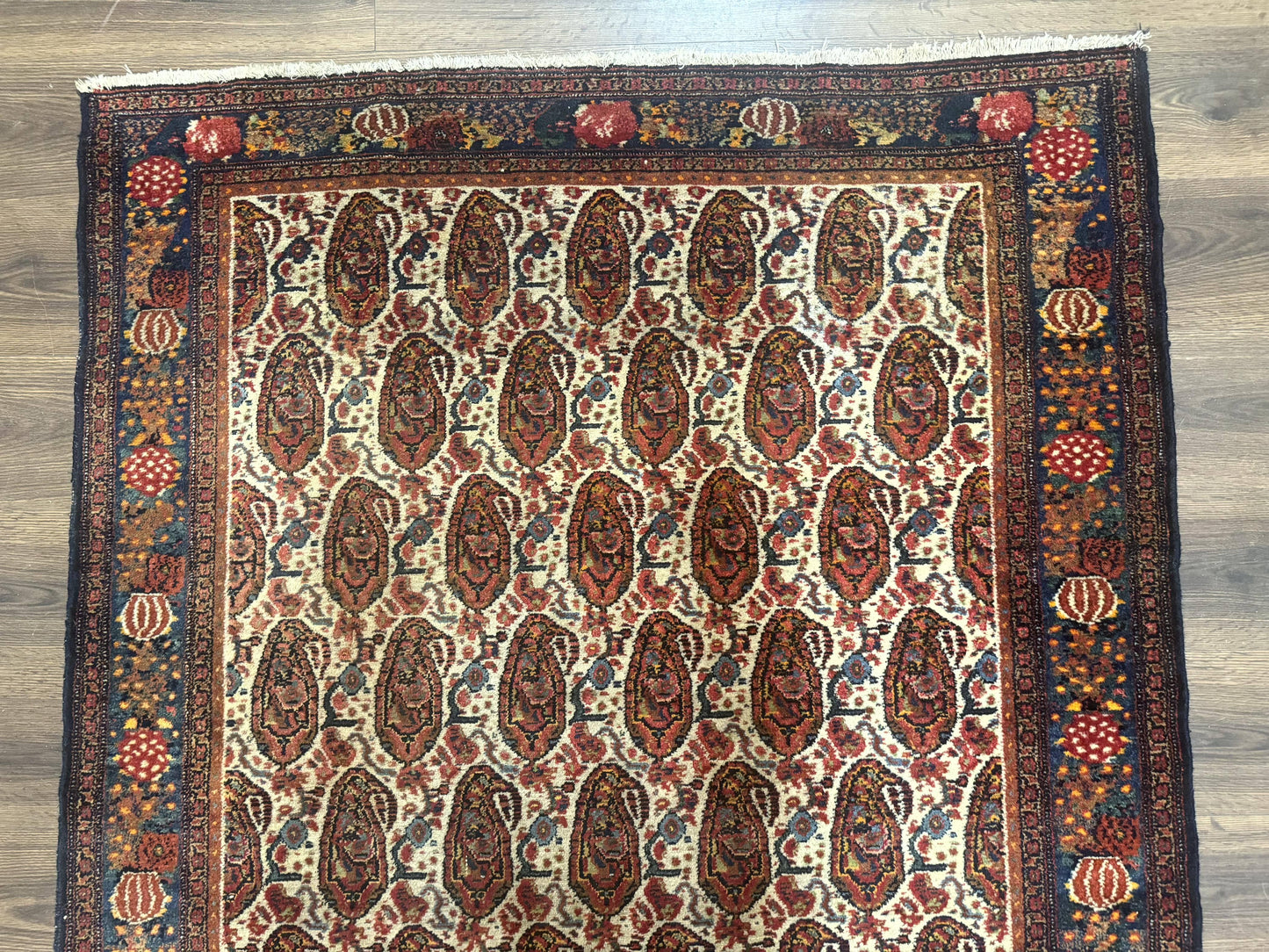 Antique Persian Kurdish Senneh Rug 4.6 x 6.5, Repeated Paisely Boteh Design, Handmade - Nuvé