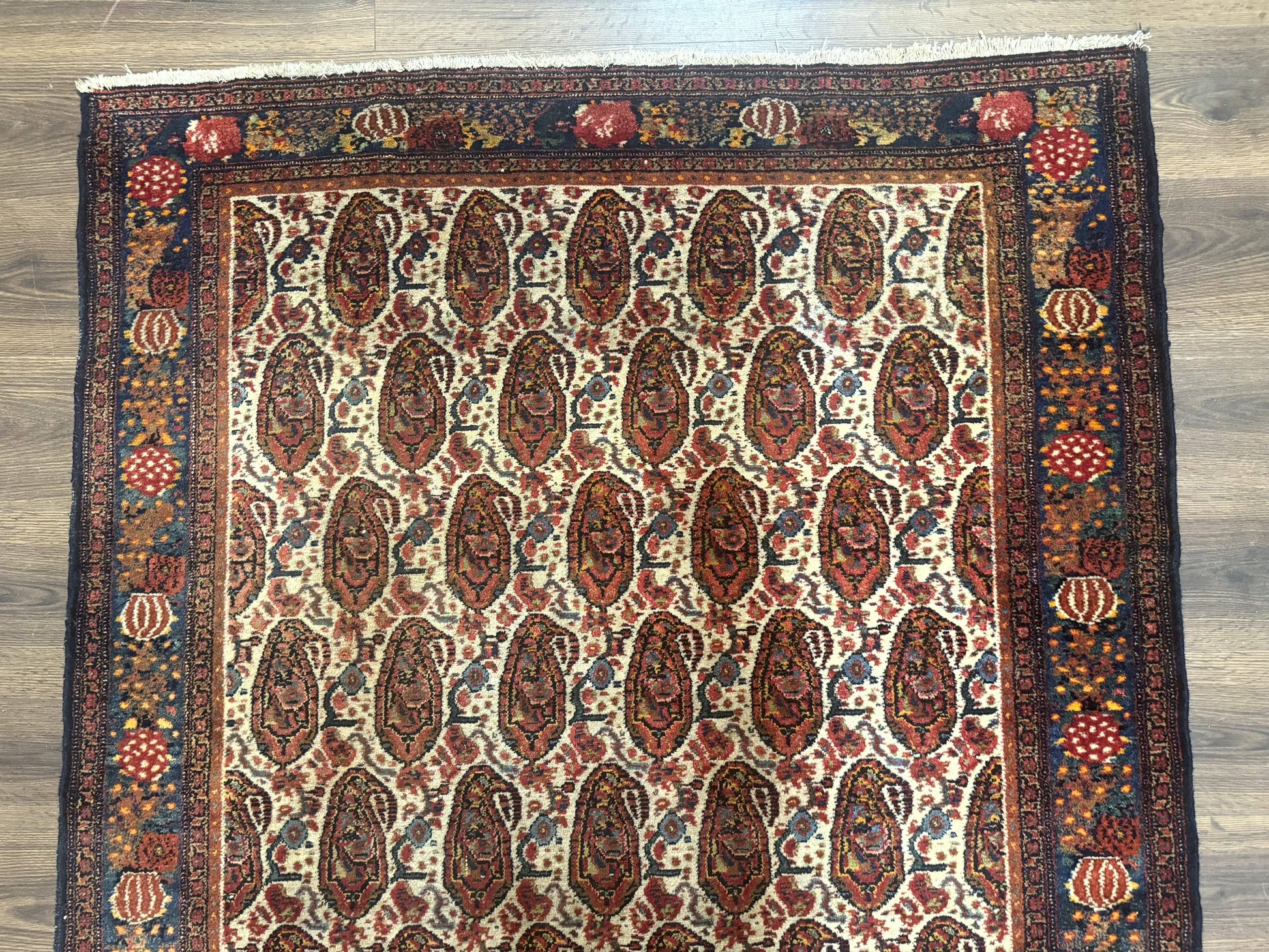Antique Persian Kurdish Senneh Rug 4.6 x 6.5, Repeated Paisely Boteh Design, Handmade - Nuvé