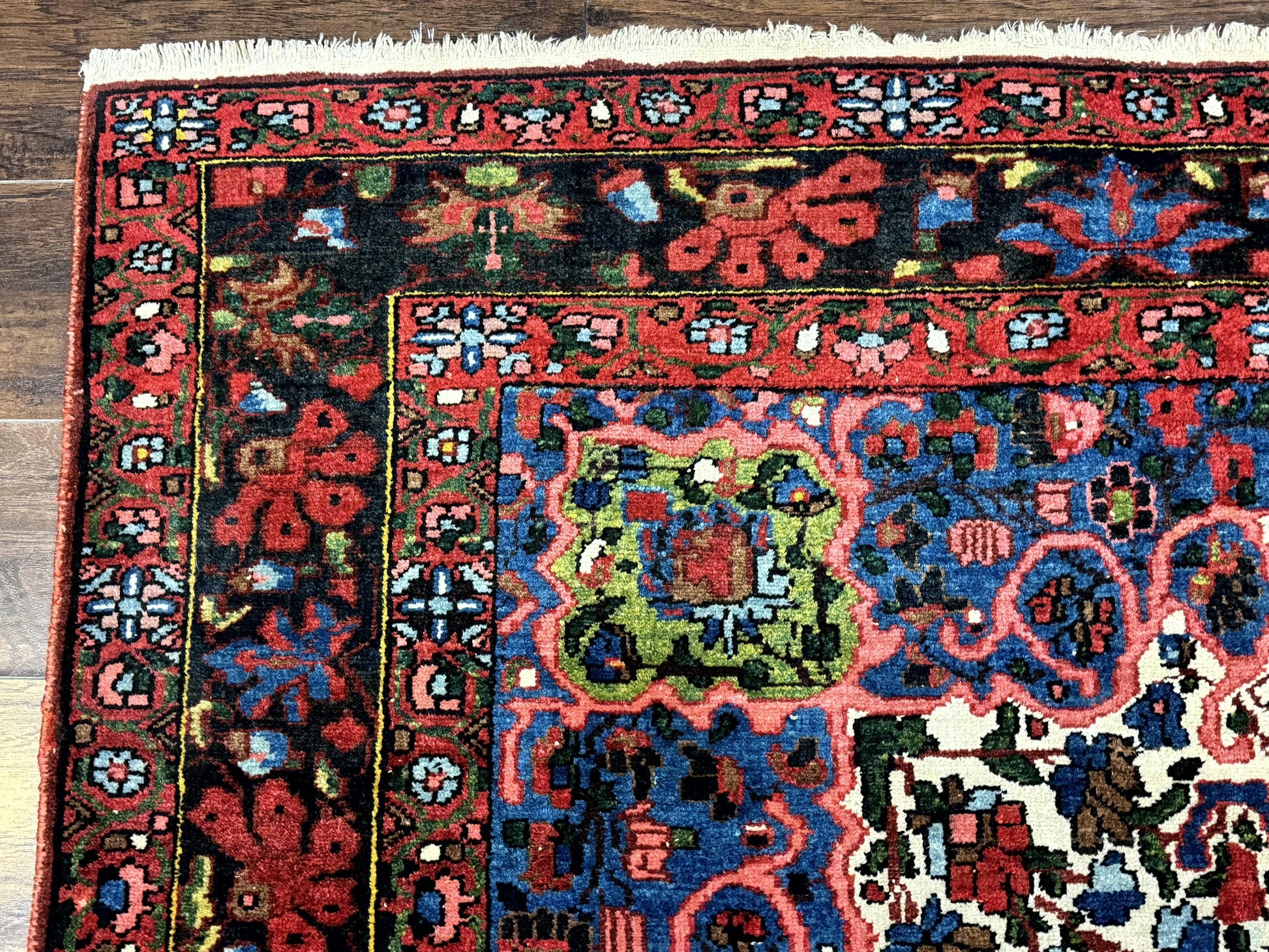 Persian Bakhtiari Rug 7x10, Antique Persian Carpet, Colorful, Great Colors, Ivory Red Blue, Rare Tribal Rug - Nuvé