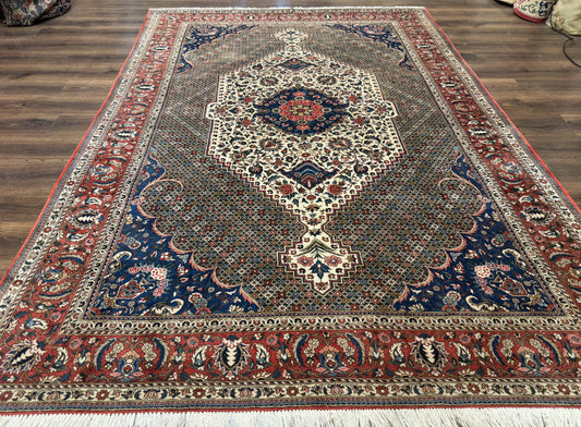 Persian Rug 7x10, Bakhtiari Saman Rug, Unique Design and Colors, Ivory Red Blue, Large Tribal Rug - Nuvé