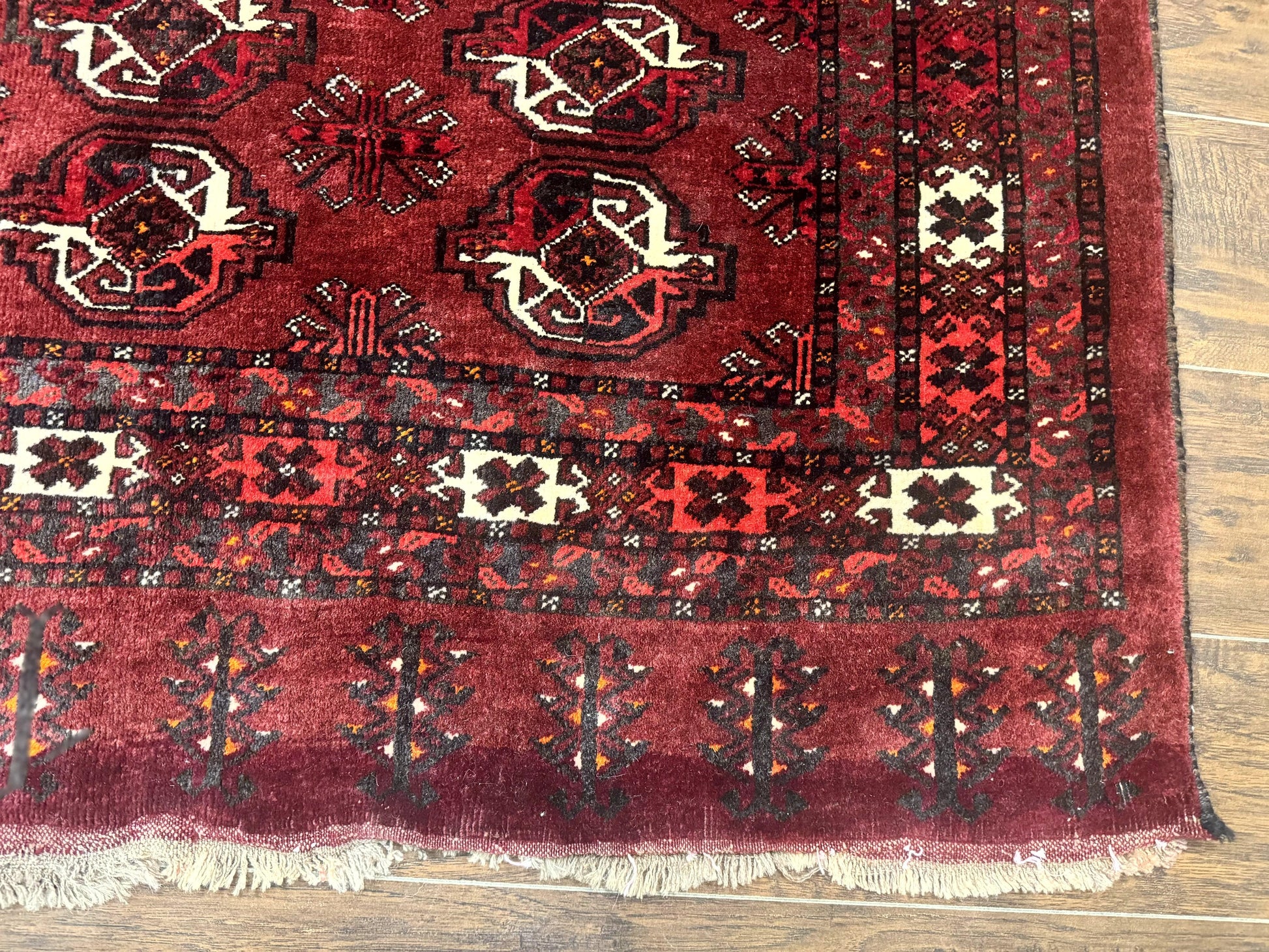 Antique Afghan Turkoman Mafrash Rug 3x5, Red, Hand Knotted, Wool, Tribal Collectible - Nuvé