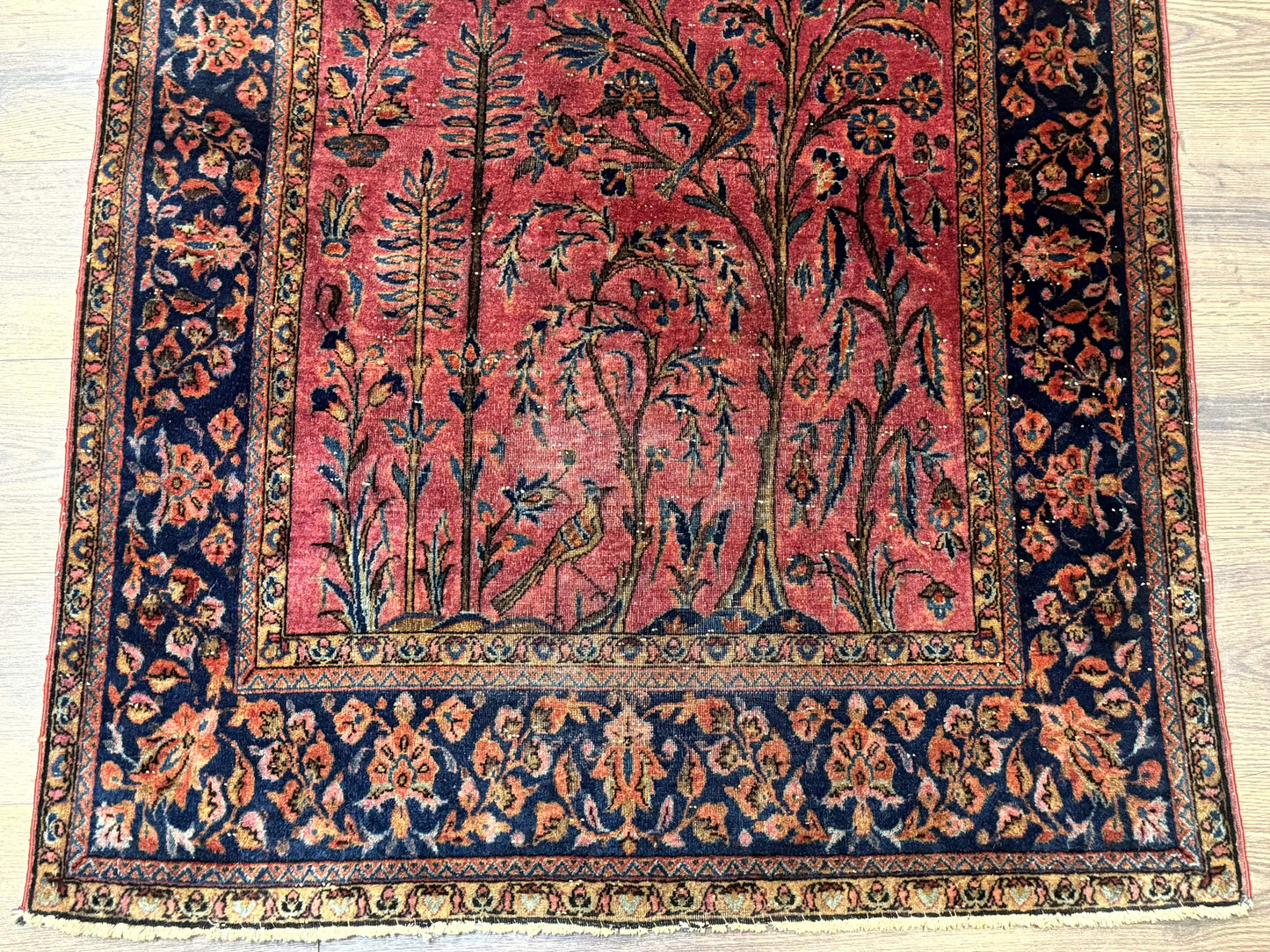 Antique Persian Tree of Life Rug 3x5, Manchester Wool, Bird Pictorials, Fine 240 KPSI, Red Navy Blue - Nuvé