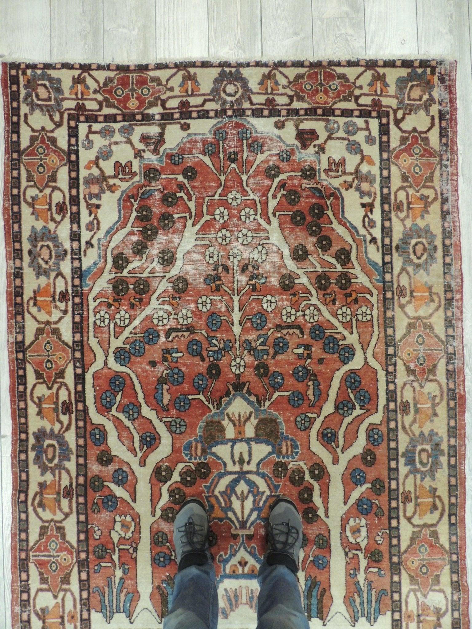 Exquisite Distressed Fine Persian Area Rug 5x7 Ft - Nuvé