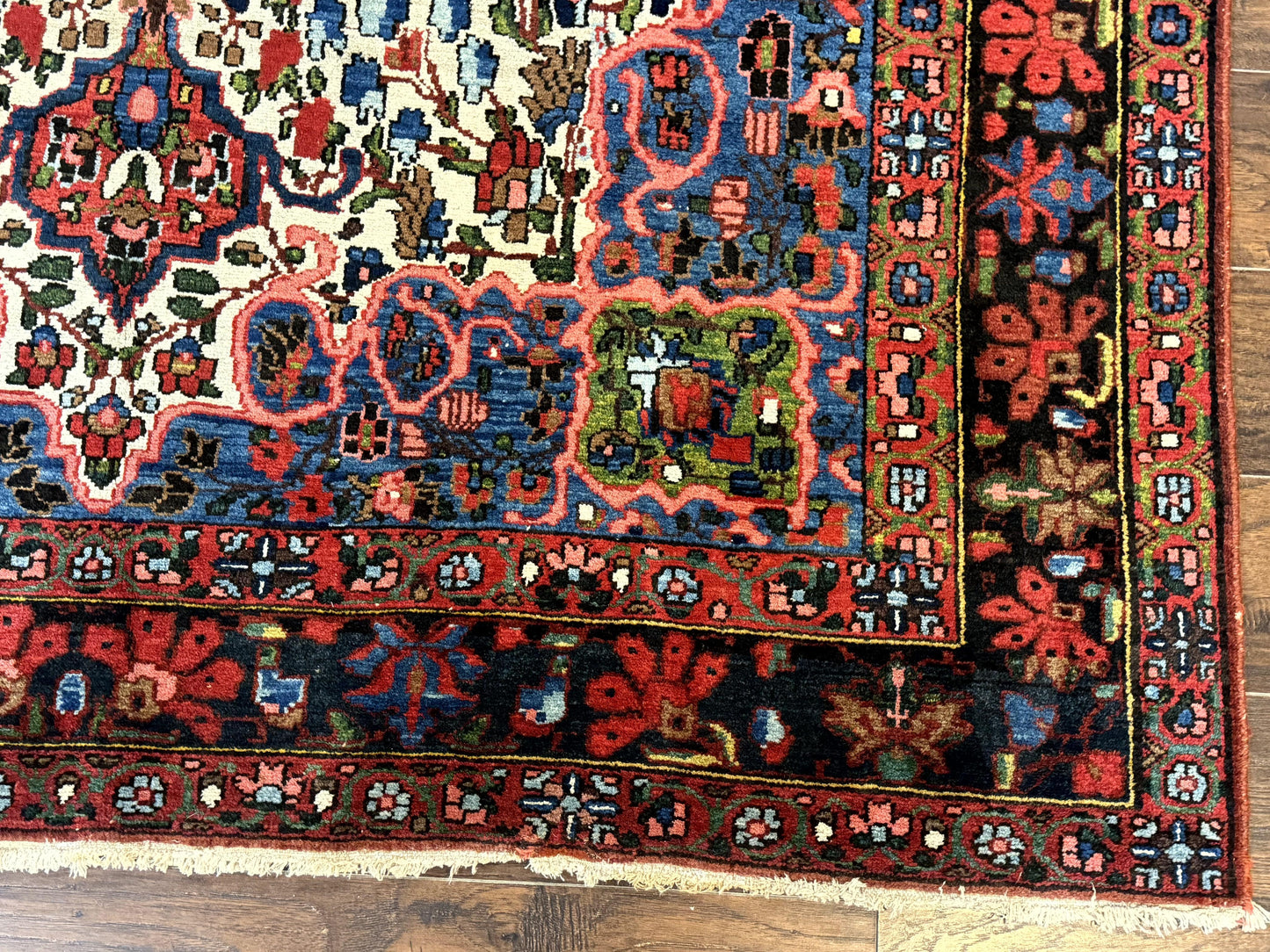 Persian Bakhtiari Rug 7x10, Antique Persian Carpet, Colorful, Great Colors, Ivory Red Blue, Rare Tribal Rug - Nuvé