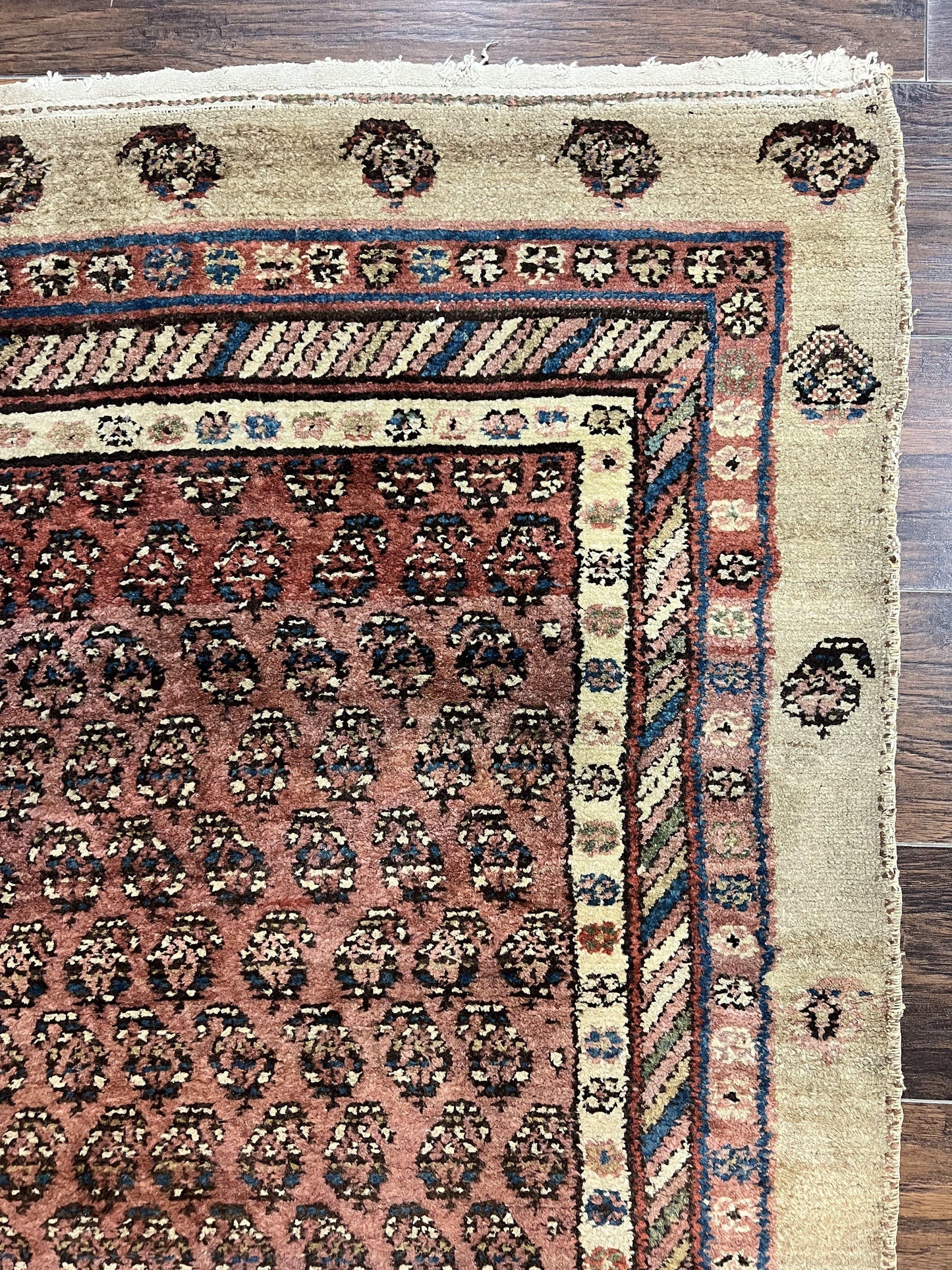 Antique Persian Sarab Runner Rug 3x11, Wool Camel Hair, Tribal Carpet for Hallway 3 x 11, Antique 1920s Rug, Handmade - Nuvé
