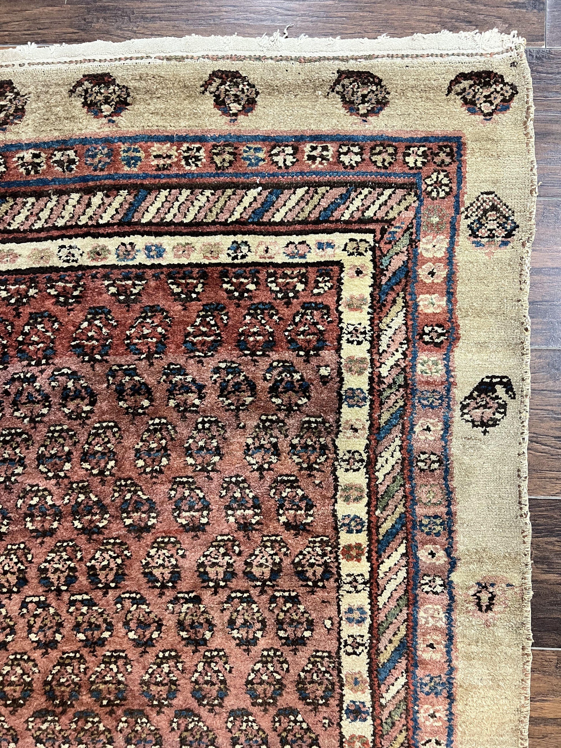 Antique Persian Sarab Runner Rug 3x11, Wool Camel Hair, Tribal Carpet for Hallway 3 x 11, Antique 1920s Rug, Handmade - Nuvé