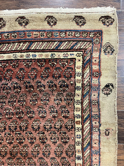Antique Persian Sarab Runner Rug 3x11, Wool Camel Hair, Tribal Carpet for Hallway 3 x 11, Antique 1920s Rug, Handmade - Nuvé