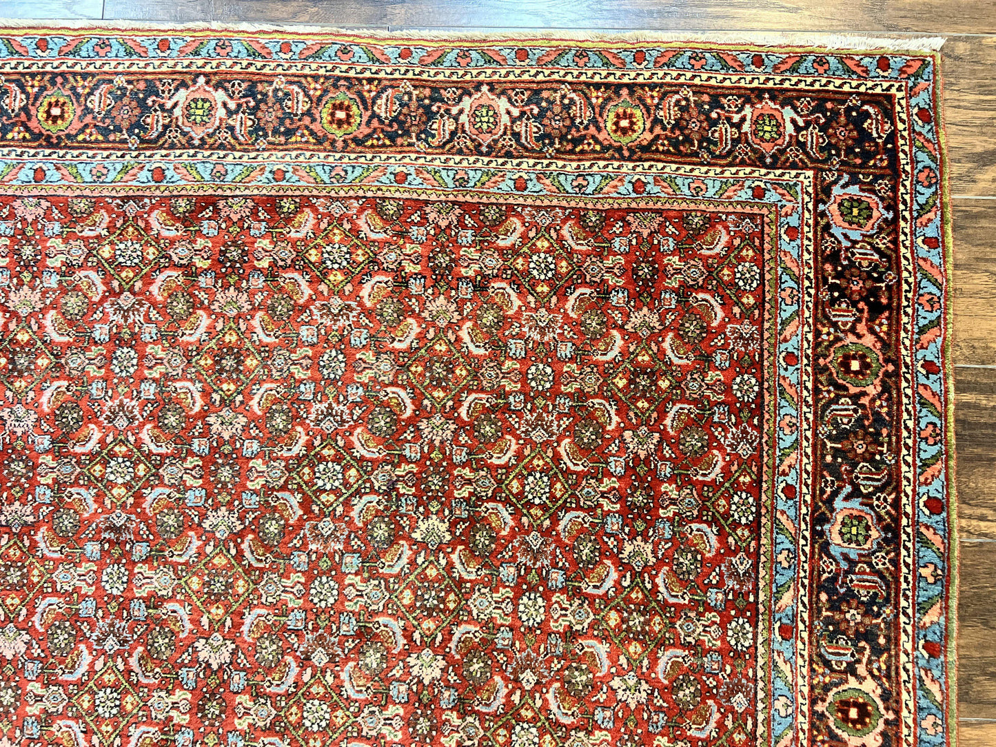 Antique Persian Bidjar Rug 5x7, Repeated Allover Herati Pattern, Red, Handmade Wool Carpet - Nuvé