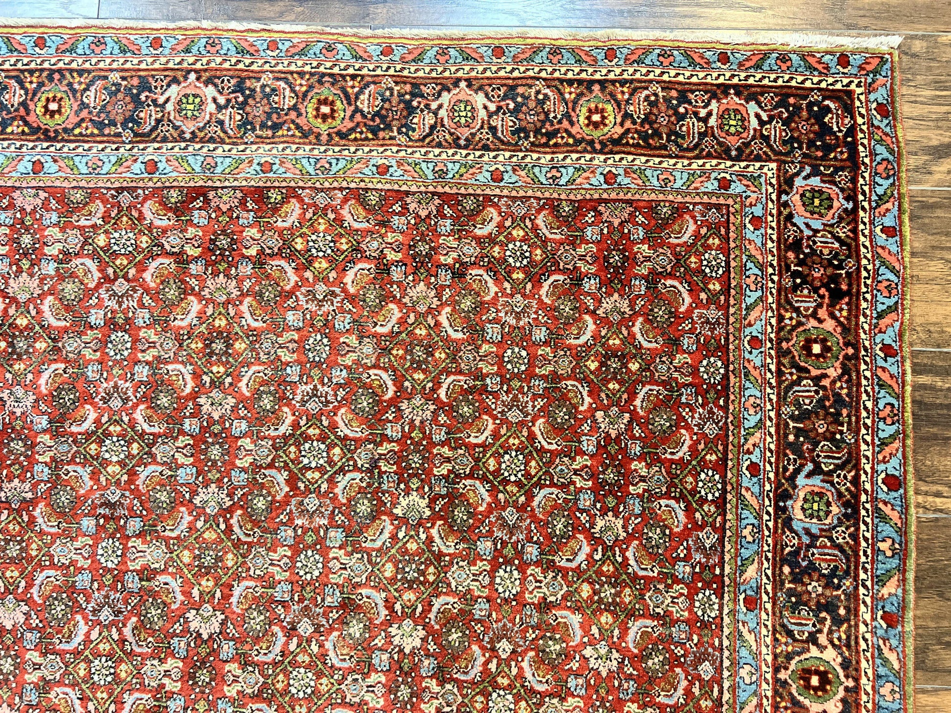 Antique Persian Bidjar Rug 5x7, Repeated Allover Herati Pattern, Red, Handmade Wool Carpet - Nuvé