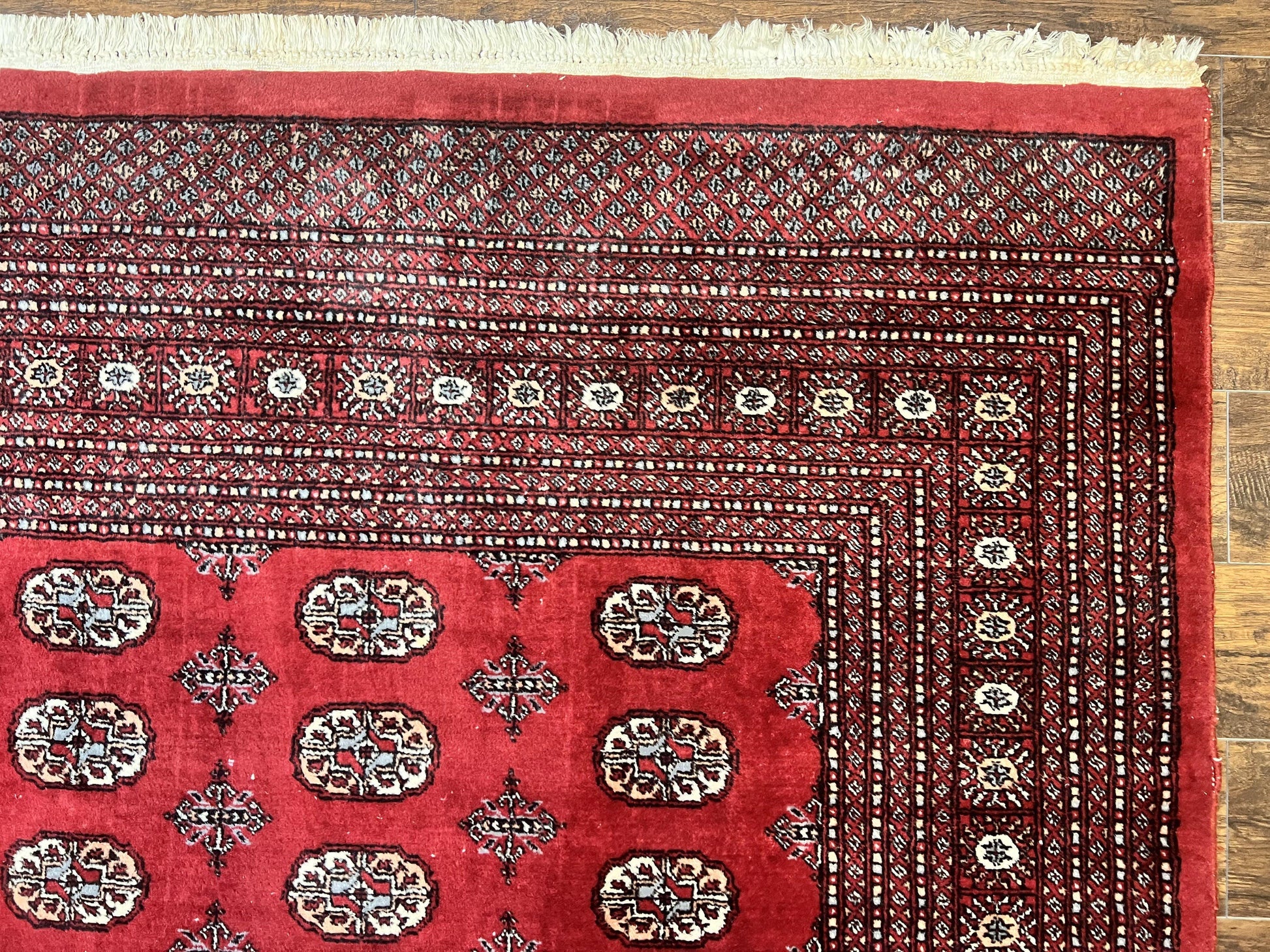 Turkoman Rug 8 x 11.6, Red Bokhara Pakistani Carpet, Wool Handmade Vintage Rug - Nuvé