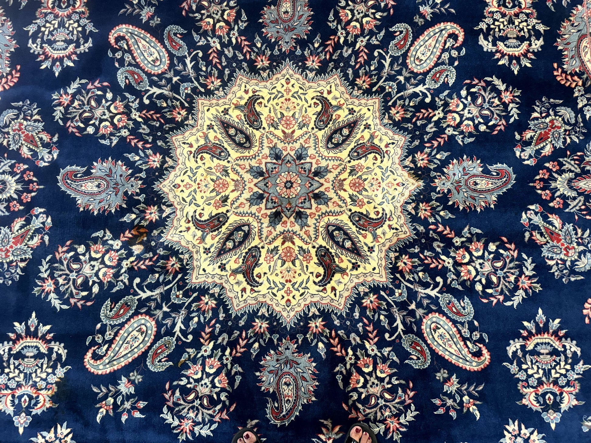 Sino Persian Kerman Rug 10x14, Blue and Beige, Floral Medallion, Fine 240 KPSI - Nuvé