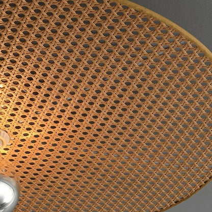 Falari Wall Lamp - Nuvé