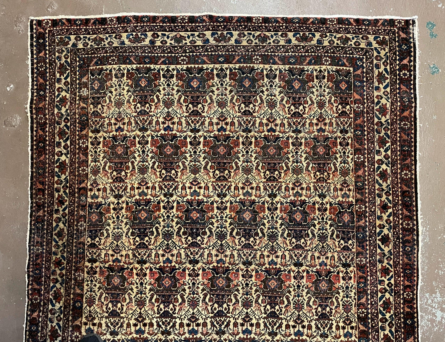 Antique Persian Afshar Rug 5x7, Wool Hand Knotted Oriental Carpet 5 x 7 ft, Repeated Motif Allover, Cream and Maroon, Tribal Rug, Medium Sized Rug,  Zil-i-Sultan Design - Nuvé