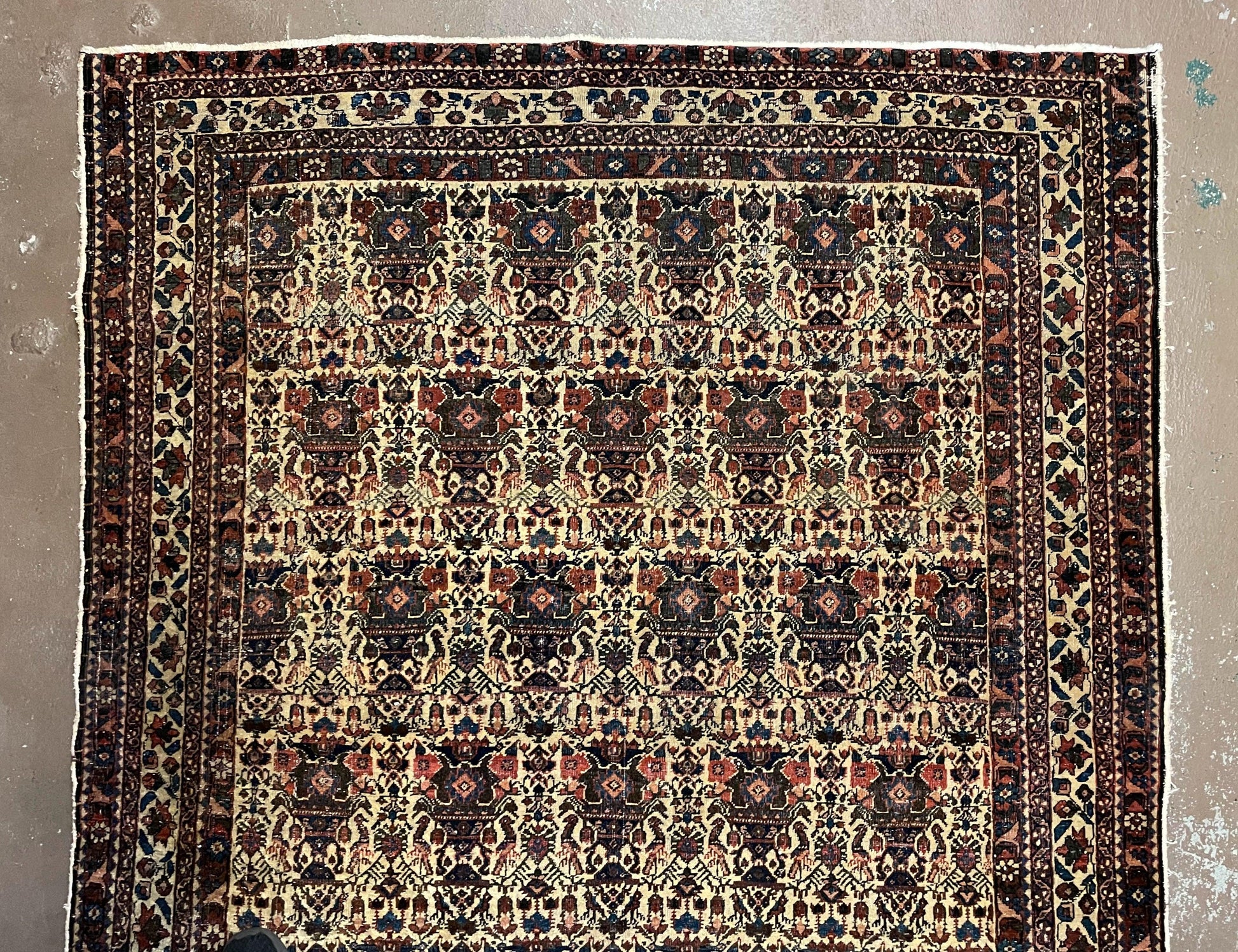 Antique Persian Afshar Rug 5x7, Wool Hand Knotted Oriental Carpet 5 x 7 ft, Repeated Motif Allover, Cream and Maroon, Tribal Rug, Medium Sized Rug,  Zil-i-Sultan Design - Nuvé