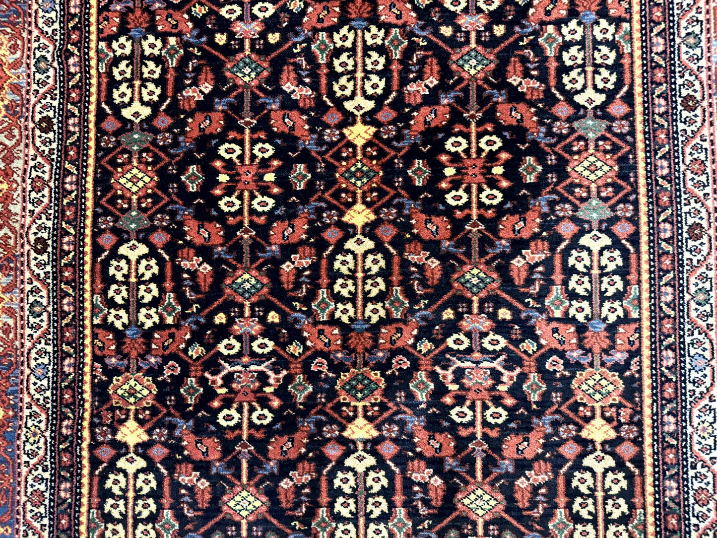 Karastan Rug 6x9 Williamsburg Collection Carters Grove #554 Wool Carpet - Nuvé