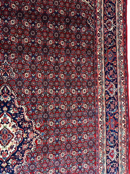 Fine Vintage Persian Mood Rug 8’7” x 14’1” - Nuvé