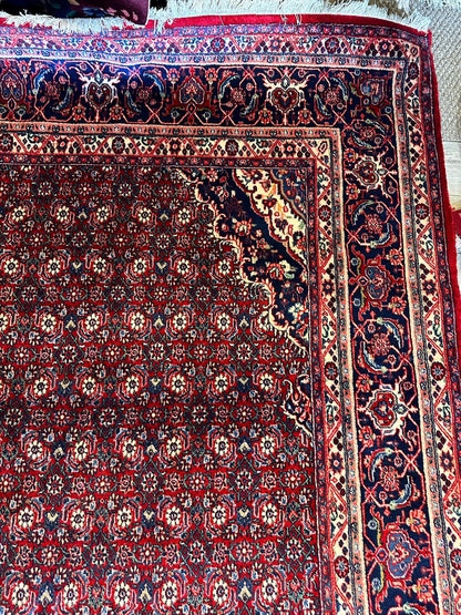 Fine Vintage Persian Mood Rug 8’7” x 14’1” - Nuvé
