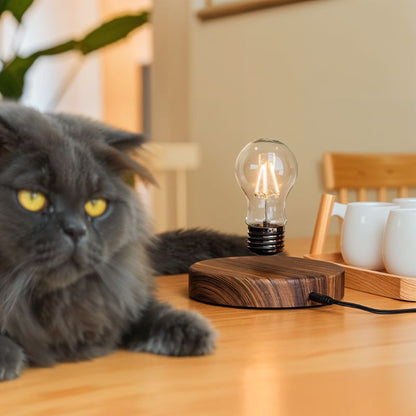 Float Table Lamp - Nuvé