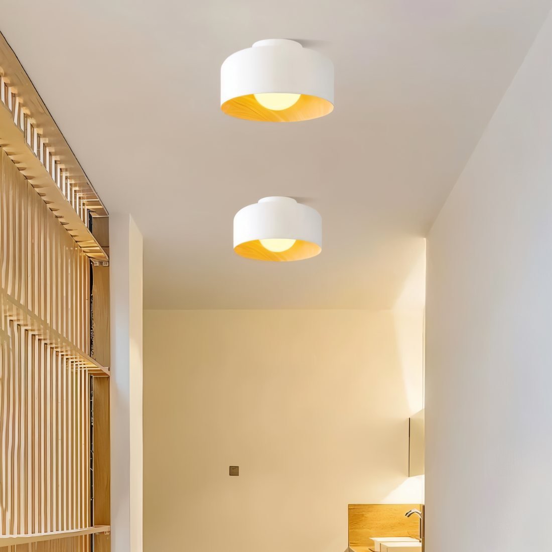 Folkio ceiling light by Residence Supply featuring a modern design with a circular metal frame and glass shade, suitable for contemporary interiors.