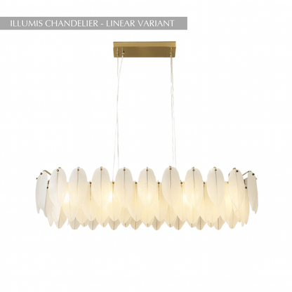 Illumis Chandelier - Nuvé